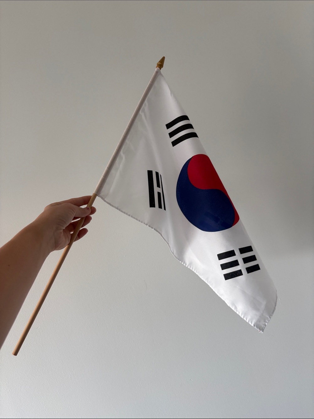 South Korea Handheld Flag - White, Red & Blue